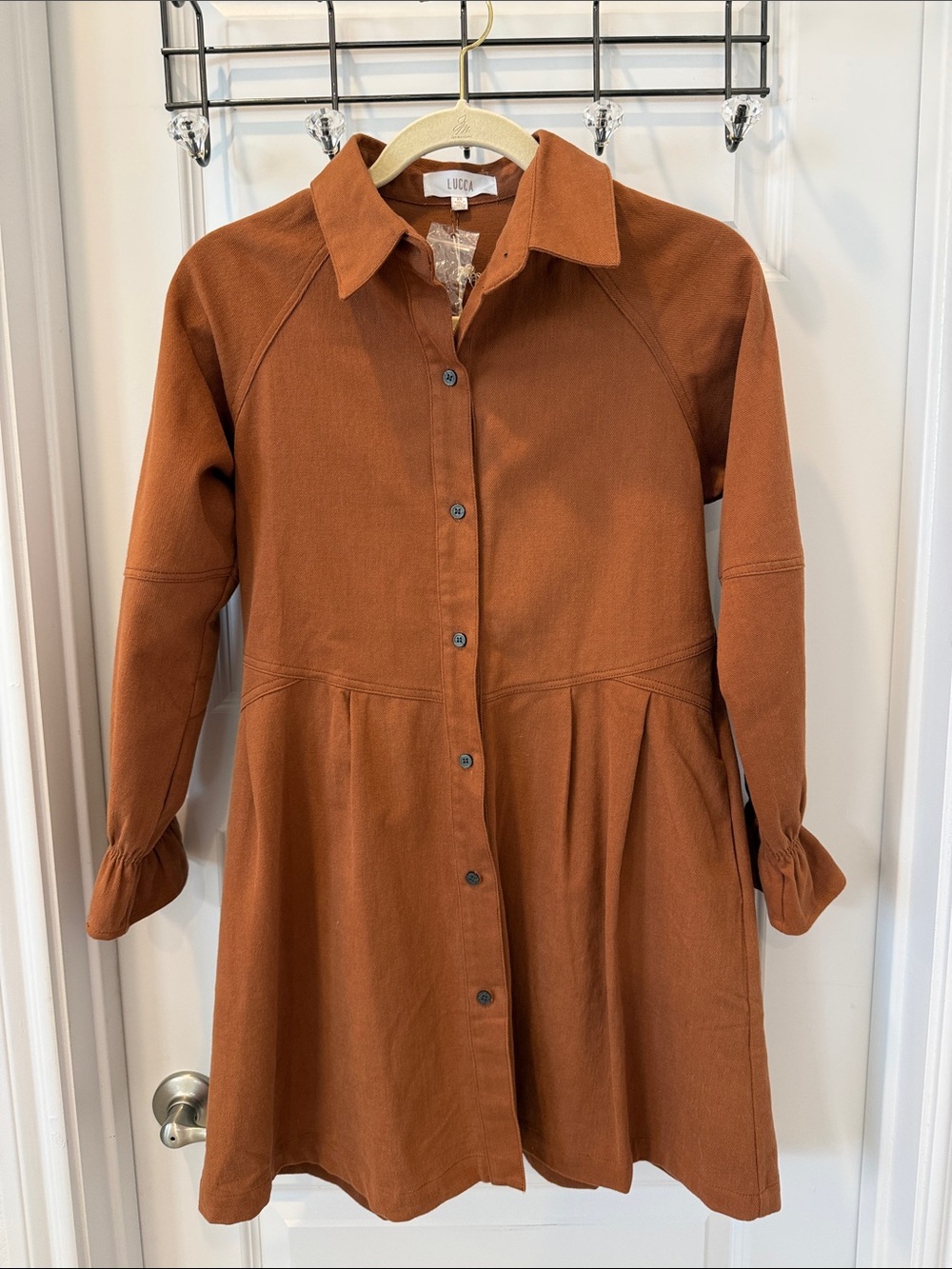 Rust Button-Front Long-Sleeve Shirt Dress